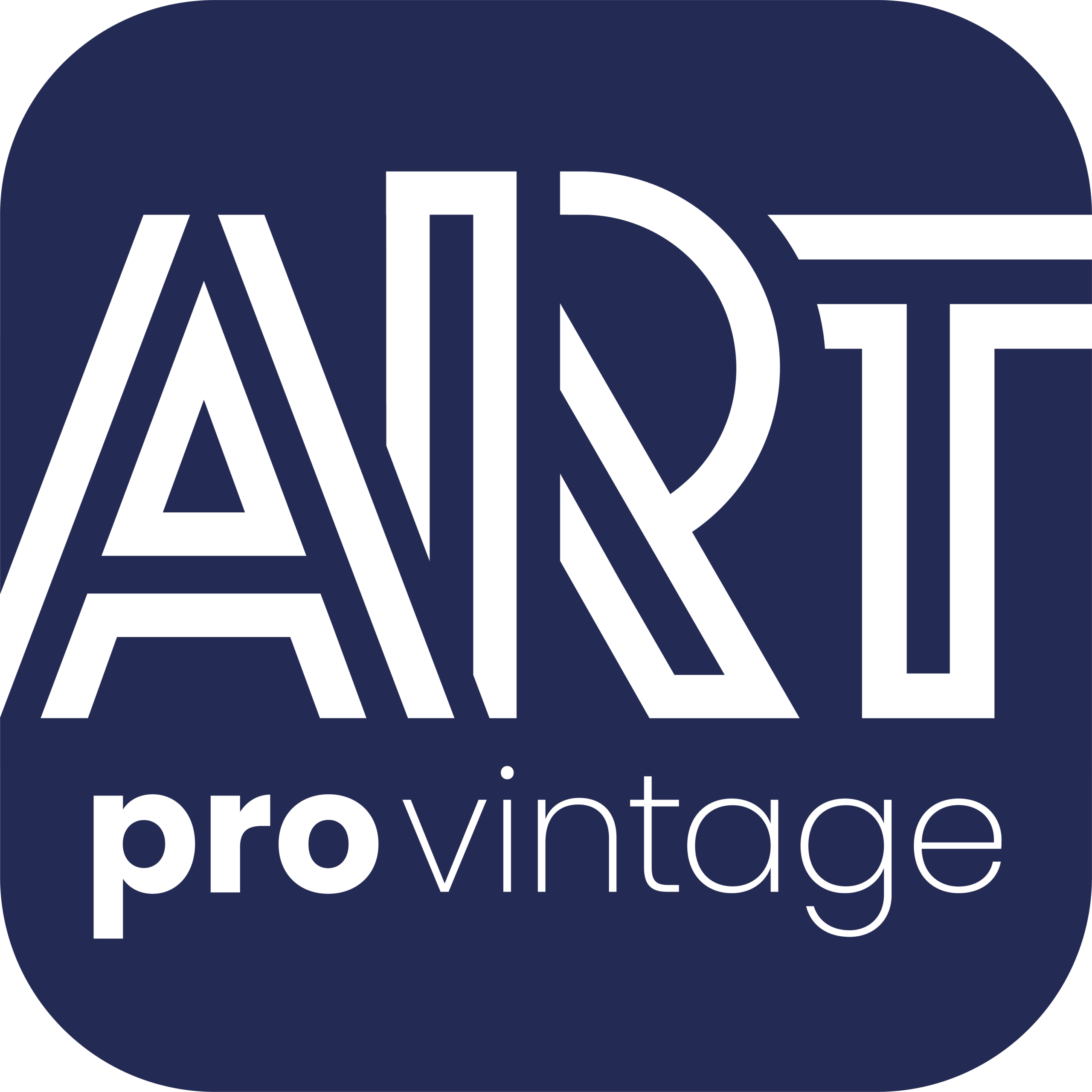Art Pro Vintage